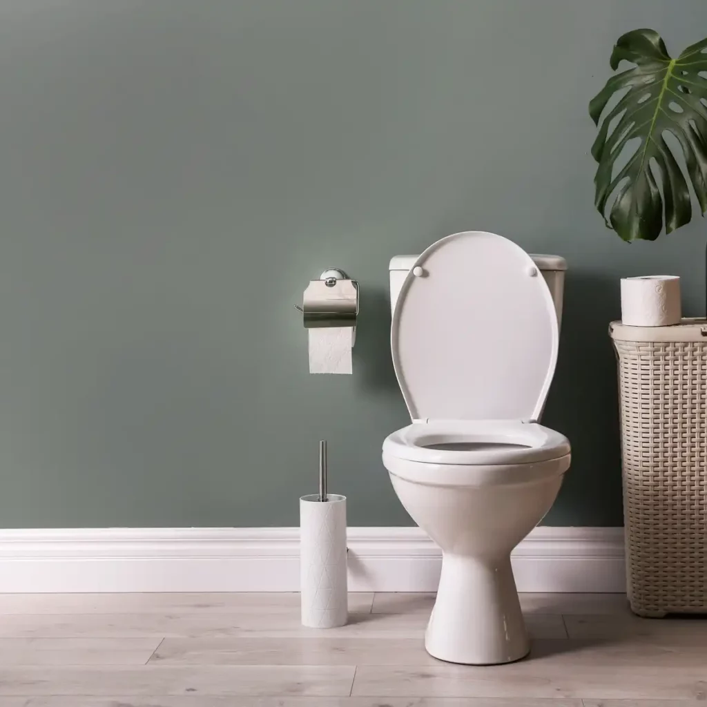 adobestock 211518575 webp